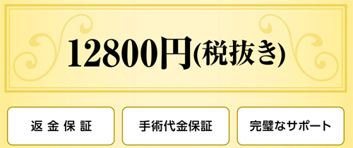 キトー君の価格