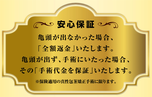 キトー君の返金保証